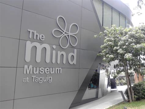 mind museum entrance